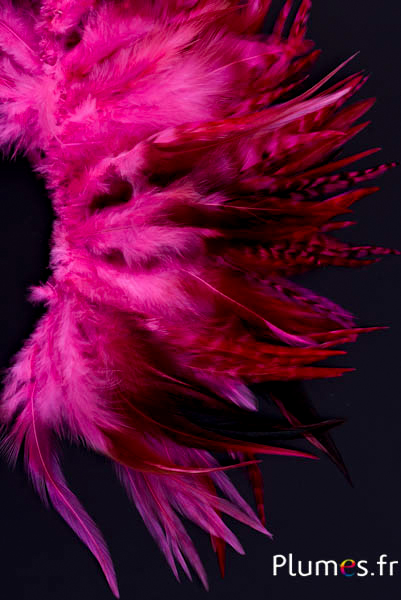 Coq - 10-15 cm - fuchsia-rose-brun